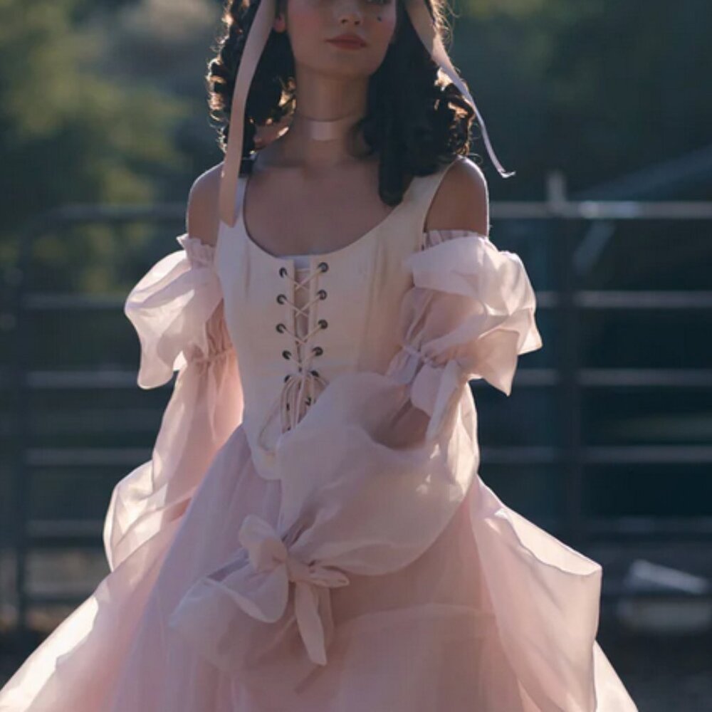 Selkie The Lickety Split Duchess Corset Blush Pink Peach - Picture 4 of 11